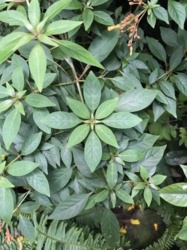 455de121-ded2-44dd-a52a-0e2cabd25926