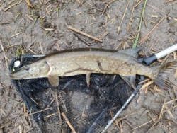 5fc00999-cddc-42f0-ad9f-e8aa4e661d50