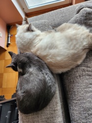 fa6682f4-96ed-4c48-b932-564c1aba76da