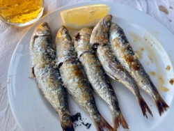 a8d1b79f-ba0b-40cb-acaf-148ce0b52a23