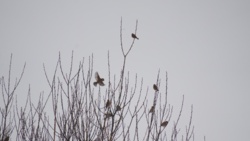 d0e2a24f-4b00-478b-a977-eb7206d79675