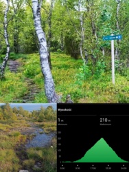 dab85371-eb3b-4634-a0b3-68b397b92baa