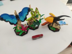 32638441-dc50-4f3d-aa72-640e01328079