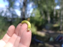 bde4e1ae-f702-48cb-b0be-477a0edc4310