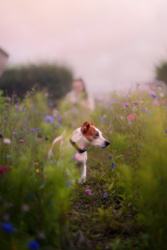 8229b84d-0eda-473d-86d2-ca7d7c25d9f2