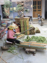 72d24454-353c-45dc-bd92-7549e5193a60