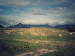 bf86bb48-5f97-46a4-a076-e56732934a67