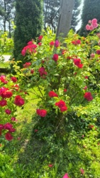 9519478e-949c-48fe-aed0-0670686e9b16