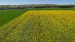 6e87fc3c-c9ea-4057-b0ee-e47a4ec5c63c