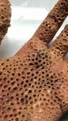 3f9b7c6f-cc2d-4a35-b82e-fbbbc7043b7f