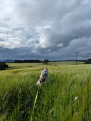 1ca1b927-c15a-4e6a-9f38-90cdae04649e