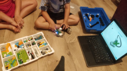 e00add67-472a-4e94-8f64-0393d542f843