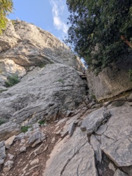 a31240de-a9e3-4435-b3cc-65c6d74be38c