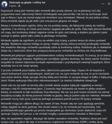 0bb0f861-a94a-46d7-8629-9d60bb704247