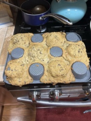 41ac3df9-a64c-4228-ab96-29a8c187cb2b