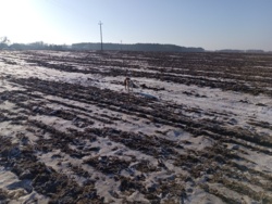 c2ab3a66-9f15-4c7a-aacd-b96129ee0508