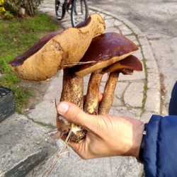 3f87fa21-c4e9-4aaf-a625-06b9ffdbd1f1