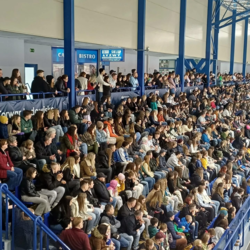 01fd4743-674d-4183-a38c-b6097275ce6a