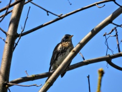 efd9e122-c69b-4abd-a111-d48b41dfa367