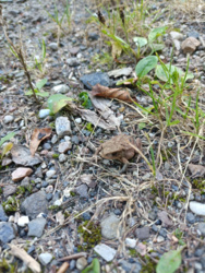 1e1fb259-6d30-4f1a-97a4-da55ae6aa05d