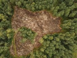 b8548228-eabd-4bdb-aad9-01f996b0b22a