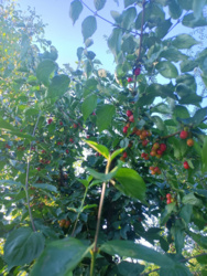 5afa48b8-5379-4938-b7a0-94e459e1497e