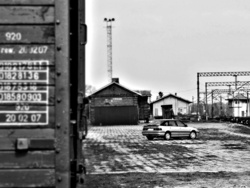 13529ee1-44ad-4e49-a5c4-9cca0bcc0b9f