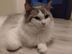 e6cd10bb-3471-45e6-84e7-ccaa35793100