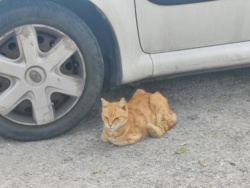 a404e946-cefc-45cb-b3e6-ec0d7ecb17b3