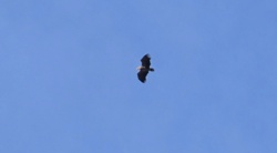 24963293-0a5d-42ac-89b5-76d5cf72d62e