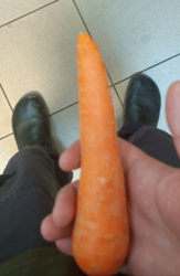 089b37bb-a001-40fb-8677-60afd7b1f9a1