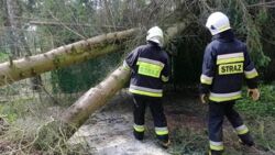 Kurczą się szeregi strażaków z OSP. "Wsie się wyludniają, to duży problem"
