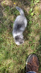 03ee9fd2-e2f3-48a7-aacf-58c9e984f79e