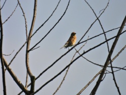 168b9923-7ae4-4f3f-a582-dc7453d78297