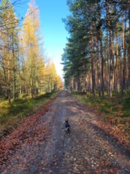 f5180325-34b1-4169-83a2-cb66a4ef3139