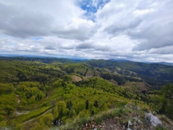 5ca60471-442b-454b-a911-db4e97928798