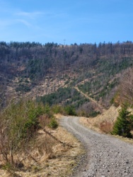 1e085f8e-95dd-4e84-91a0-57547d7be09d