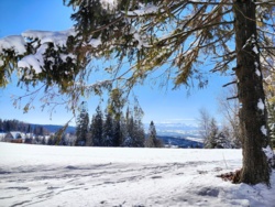 3ae129f5-c457-4a48-a118-f30373743b8b