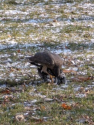 a9e460a9-90f2-4f09-800a-c80f52735e4d