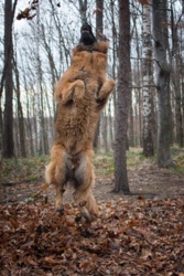 07613641-c9cc-4b83-a772-ff7693896ffc