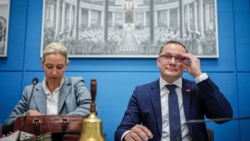 AfD na niemieckiej liście organizacji ekstremistycznych