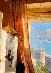 3a853d83-d1f2-454b-ad0d-cea9967ce4da