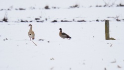 73bb85b4-7a18-42c1-8009-e17acc1b86b2