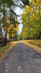 2f21dad0-603a-4f16-bb61-27d564c75b5b