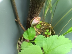 1e84eaea-3765-4153-a2a9-bb4c48d036d1