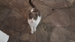 4c9a964a-05f8-4f02-badb-f6a34ae8c384