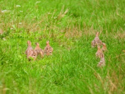 9fbdde8b-d1b2-493f-8253-60e5ee080378