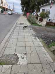 221bf7df-062d-45e9-97a3-e2132c5280df