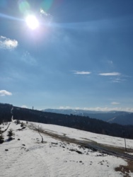 9305d6de-d672-44b4-89cb-3eb6d80e166b