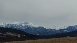 b4fed942-a69a-48b9-a9b6-77076c6727fe